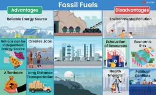 Advantages And Disadvantages Of Fossil Fuels