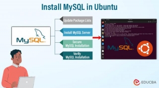 Install MySQL In Ubuntu
