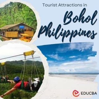 Tourist Attractions In Bohol