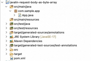 How To Read Request Body As Byte Array In Javalin?
