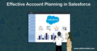 Effective Account Planning In Salesforce