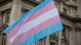 Today March 31st Is International Transgender Day Of Visibility. This Is What You Should Know