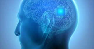 Negli Stati Uniti Si Prepara La Prima Sperimentazione Su Larga Scala Di Impianti Cerebrali