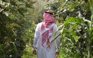 Saudi Arabia Declares March 27 Of Every Year As Saudi Green Initiative Day