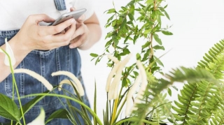 The Best Gardening And Plant Care Apps For IPhone