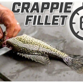 How To Fillet A Fish In Under 60 Seconds!
