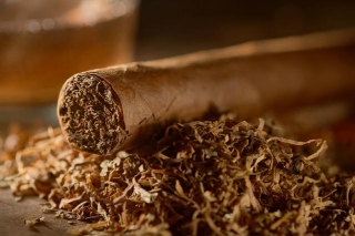 Indulge In The Opulence Of Premium Tobacco: A Luxurious Journey For The Discerning Smoker