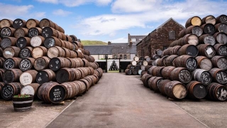 From Barrels To Riches: The Lucrative World Of Whiskey Barrel Investment