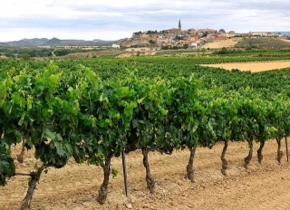 10 Pueblos Bonitos De La Rioja Alta