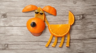The Truth About Can Dogs Eat Oranges