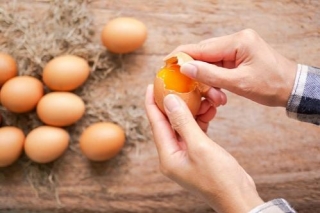 7 Essential Benefits Of Cracked Raw Egg Over Dog Food