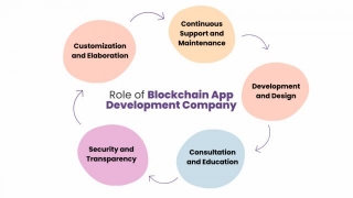 Building Trust And Transparency: The Role Of A Blockchain App Development Company