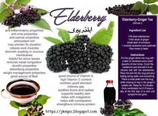 Is Elderberry Available In India?