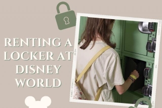 Renting A Locker At Walt Disney World