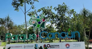 No Te Pierdas La Carrera Familiar Con Causa En El Parque Cancún