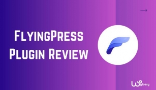 FlyingPress Plugin Review – An Ideal Speed Plugin To Improve LCP Score