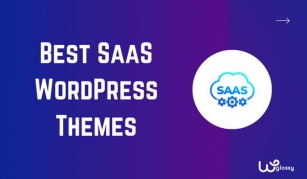 8 Best WordPress Themes For SaaS Websites You Should Try