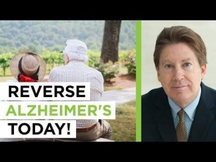 Doctor Explains How Alzheimer's Reversal Is Real-with Dr.Bredesen | The ...
