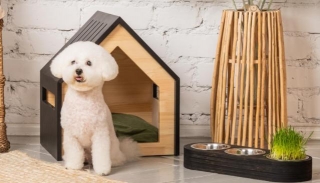Creating A Pet-Friendly Home: Ideas And Inspirations
