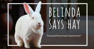 Belinda Says Hay: “Annoyed Roommate Department”
