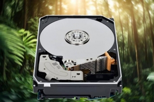 Scegliere L’hard Disk Più Adatto, La Guida Di Toshiba
