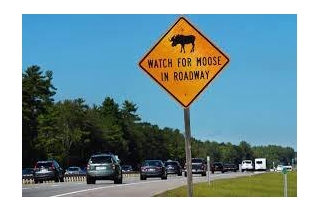 Signs Of Maine