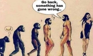 The Case Against Evolution