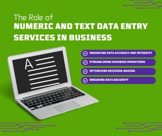 The Role Of Numeric And Text Data Entry Services In Business