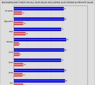 Huge Support For Background Checks On ALL Guns Sales