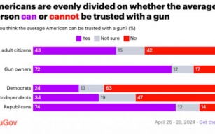 Public Split On If Average Person Can Be Trusted With Gun