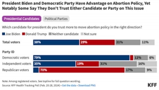 Poll Shows Abortion Remains A Big Issue In Next Election