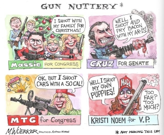 Right-Wing Politicians Try To Out-Gun Each Other