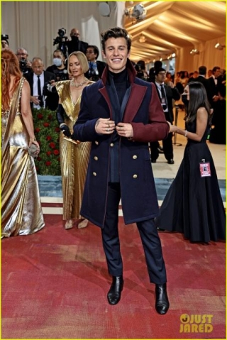 Shawn Mendes Stuns At Met Gala A Night To Remember