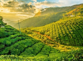 Best Places To Visit In Kerala In April 2024