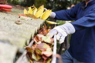 10 Most Common Home Maintenance Costs In The US