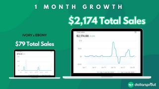 How One Recent Grad Started A $2,000 A Month Shopify Side Gig