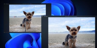 The Windows Photos App's Generative Erase Is Actually Great