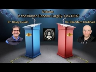 Junk DNA Debate: Casey Luskin Vs Dan Stern Cardinale