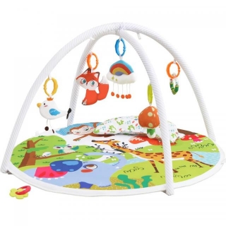 Pros And Cons: Baby Play Gym