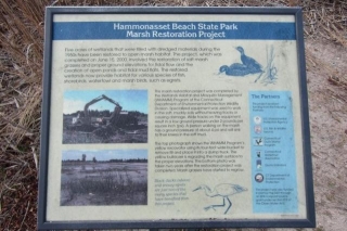 Hammonasset Beach State Park