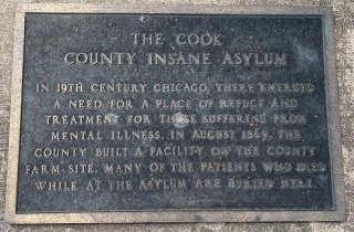 The Cook County Insane Asylum