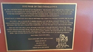 Egg War Of The Farallones