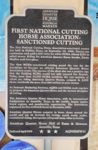 First National Cutting Horse Association- Sanctioned Cutting
