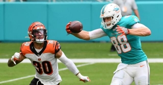 Former Dolphins TE Mike Gesicki On Joe Burrow: Never Been In The Huddle With That Kind Of Talent