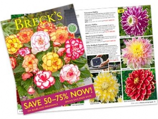 65 Free Gardening Catalogs – Request Yours Today