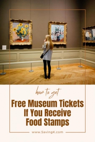 Free Museum Tickets With EBT: Cultural Access For SNAP Beneficiaries