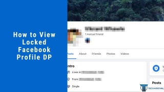 How To View Locked Facebook Profile Picture Or DP
