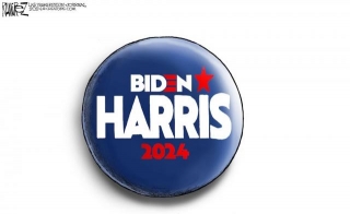 Who In Their Right Mind Is Voting For Kamala Harris?