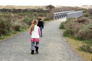 Explore Family Friendly Limantour Beach In Point Reyes