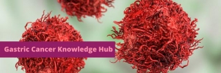 Visit The Gastric Cancer Knowledge Hub Today